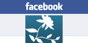 Link to Jules of Design's Facebook Business Page